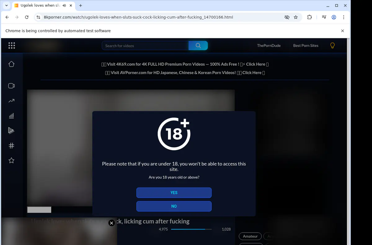 8kporner Video Downloader browser extension screenshot 2