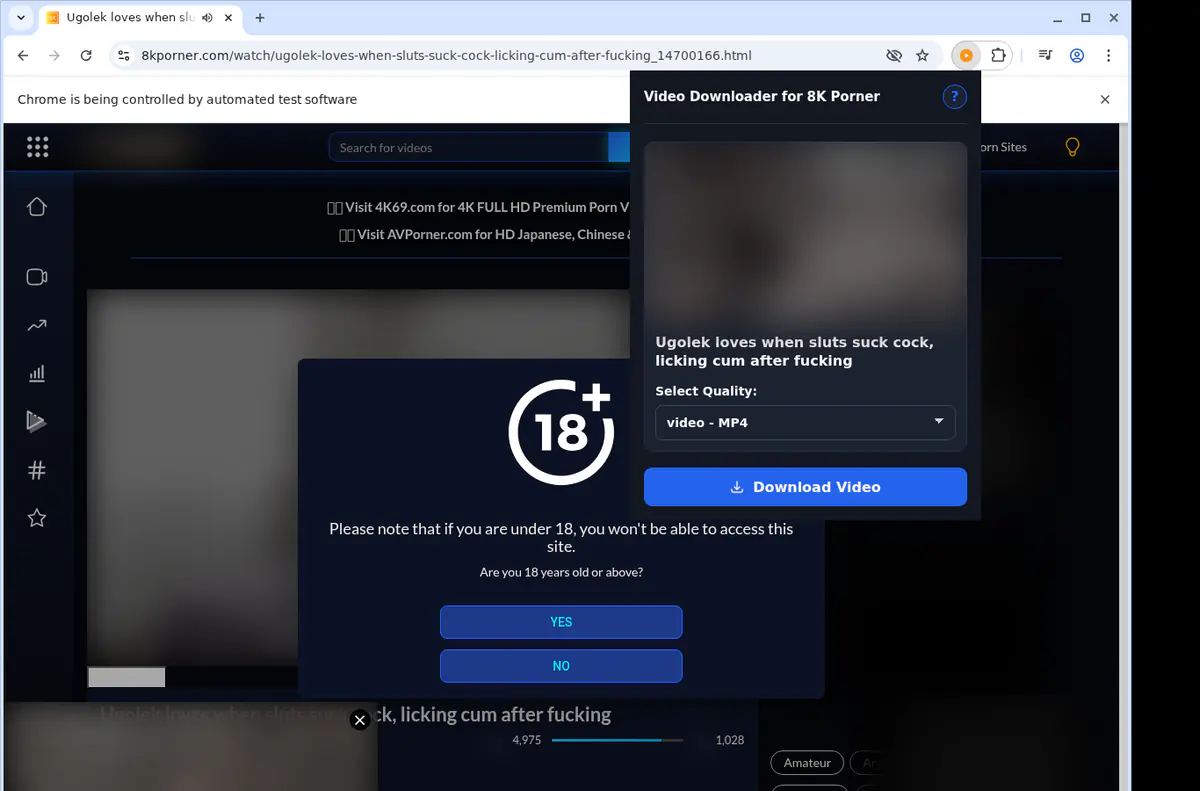 8kporner Video Downloader browser extension screenshot 3