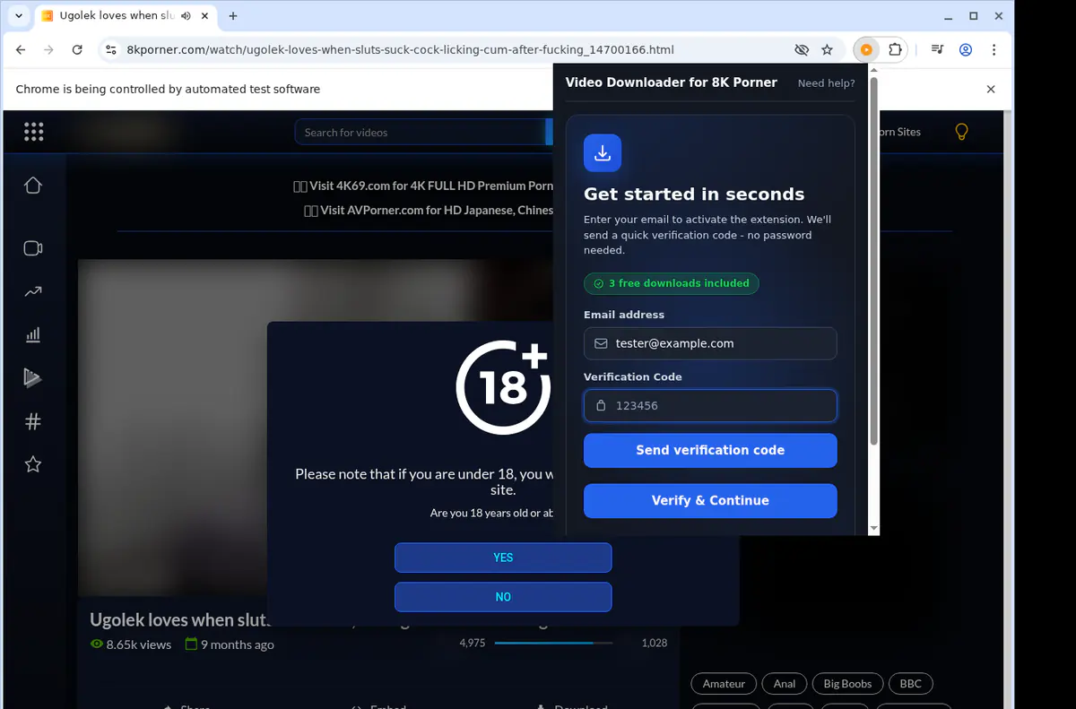 8kporner Video Downloader browser extension screenshot 4